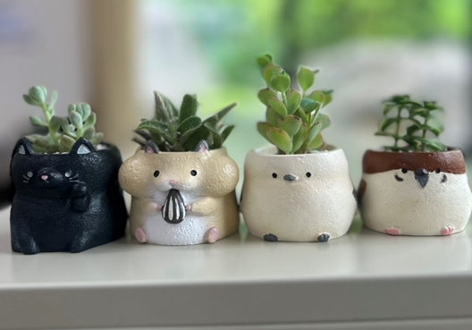 星組　写真